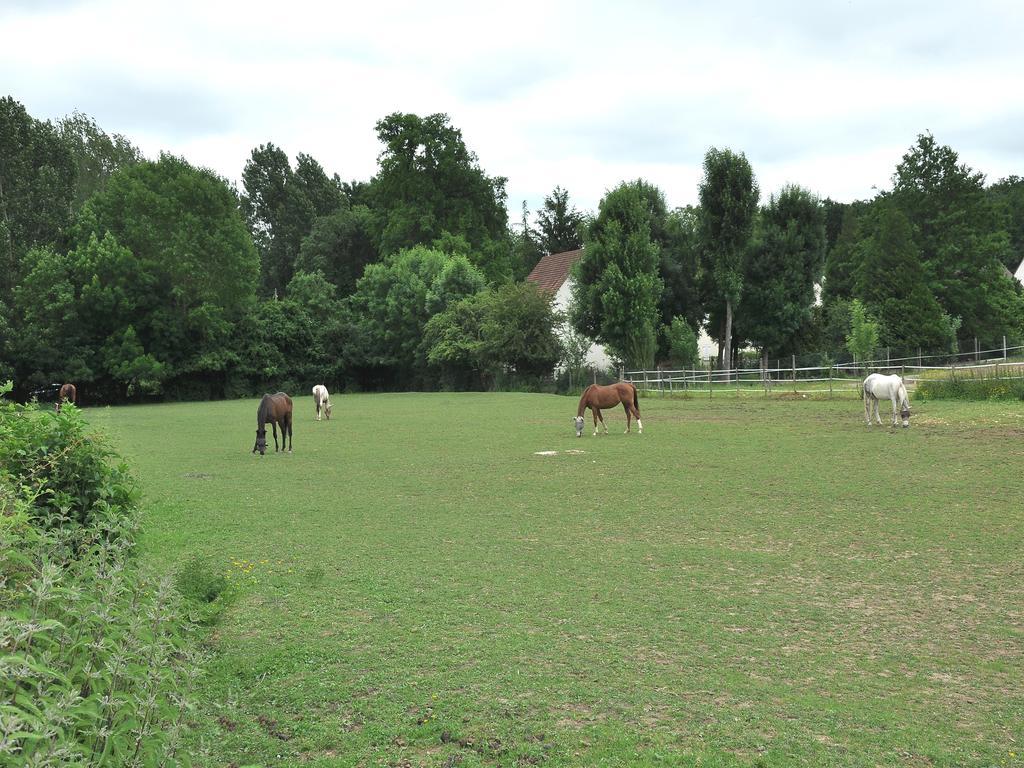 Le Calme De La Campagne Au Sud De Paris Hotel Saint-Mammes Ngoại thất bức ảnh